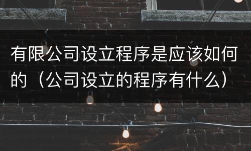 有限公司设立程序是应该如何的（公司设立的程序有什么）