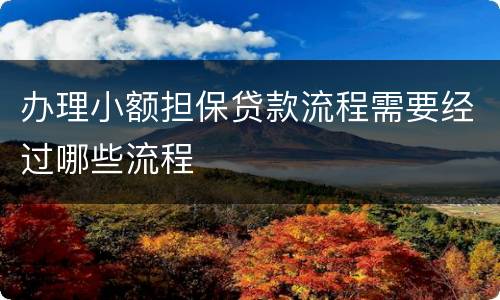 办理小额担保贷款流程需要经过哪些流程