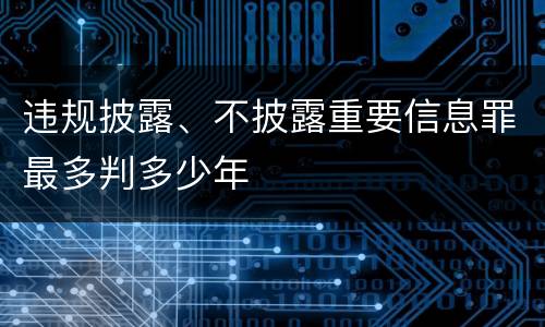 违规披露、不披露重要信息罪最多判多少年