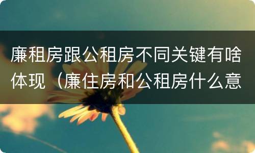 廉租房跟公租房不同关键有啥体现（廉住房和公租房什么意识）