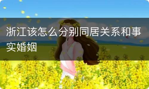 浙江该怎么分别同居关系和事实婚姻