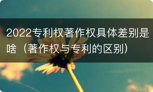 2022专利权著作权具体差别是啥（著作权与专利的区别）