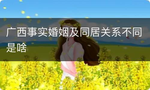 广西事实婚姻及同居关系不同是啥