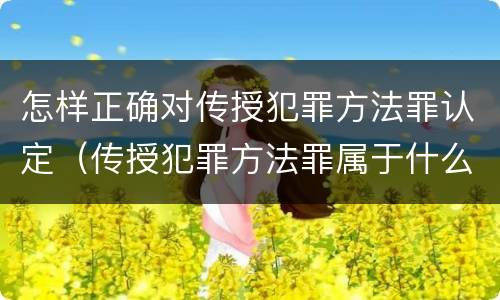 怎样正确对传授犯罪方法罪认定（传授犯罪方法罪属于什么罪）