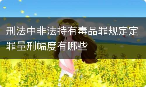刑法中非法持有毒品罪规定定罪量刑幅度有哪些
