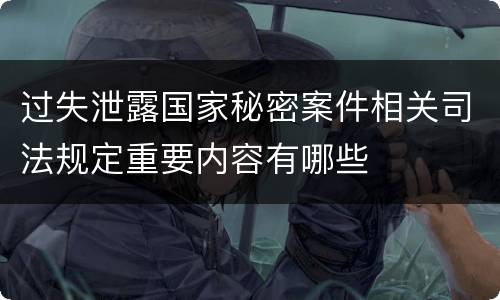 过失泄露国家秘密案件相关司法规定重要内容有哪些
