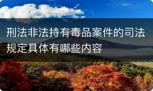 刑法非法持有毒品案件的司法规定具体有哪些内容