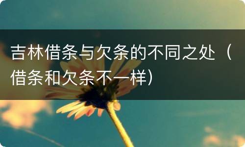吉林借条与欠条的不同之处（借条和欠条不一样）