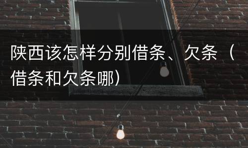 陕西该怎样分别借条、欠条（借条和欠条哪）