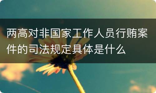 两高对非国家工作人员行贿案件的司法规定具体是什么