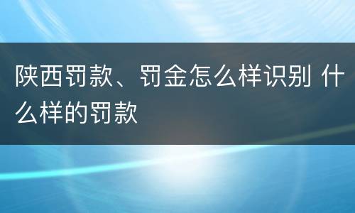 陕西罚款、罚金怎么样识别 什么样的罚款