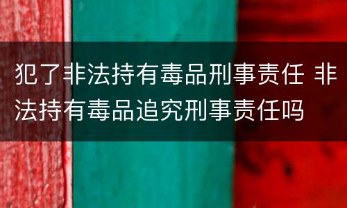 犯了非法持有毒品刑事责任 非法持有毒品追究刑事责任吗