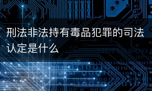 刑法非法持有毒品犯罪的司法认定是什么
