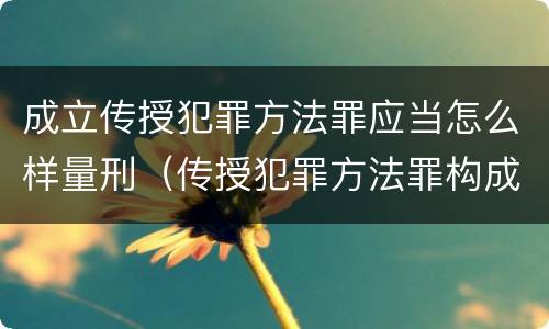 成立传授犯罪方法罪应当怎么样量刑（传授犯罪方法罪构成要件）