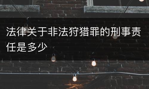法律关于非法狩猎罪的刑事责任是多少