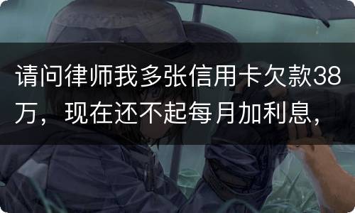 请问律师我多张信用卡欠款38万，现在还不起每月加利息，我怎么可以协商还银行
