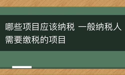 哪些项目应该纳税 一般纳税人需要缴税的项目