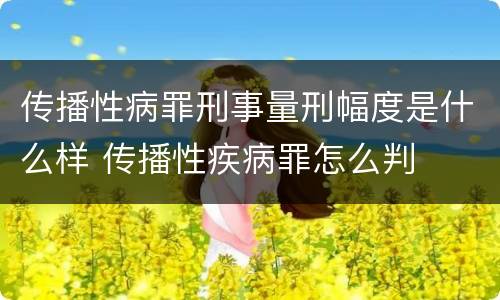 传播性病罪刑事量刑幅度是什么样 传播性疾病罪怎么判