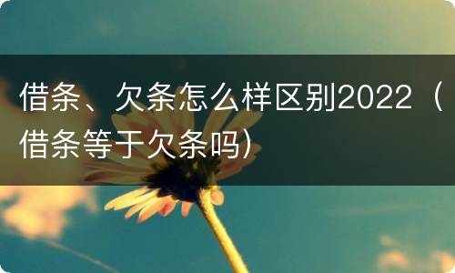 借条、欠条怎么样区别2022（借条等于欠条吗）
