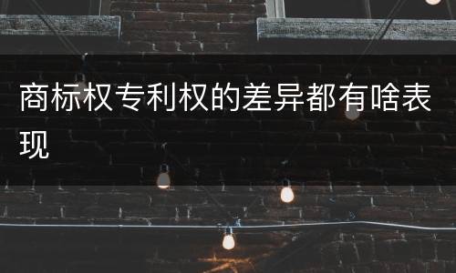 商标权专利权的差异都有啥表现