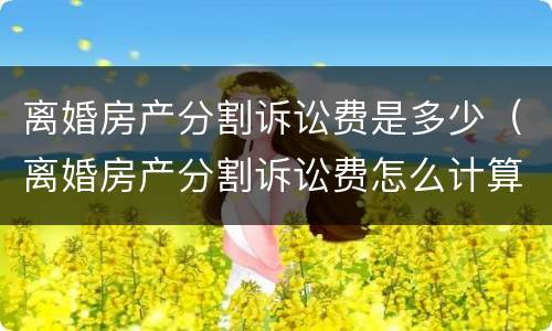 离婚房产分割诉讼费是多少（离婚房产分割诉讼费怎么计算）