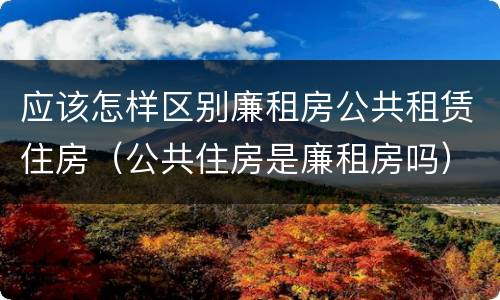 应该怎样区别廉租房公共租赁住房（公共住房是廉租房吗）