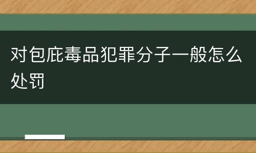 对包庇毒品犯罪分子一般怎么处罚