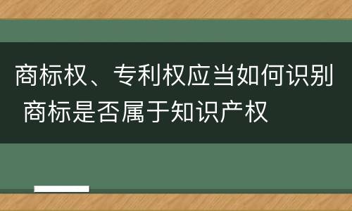 商标权、专利权应当如何识别 商标是否属于知识产权