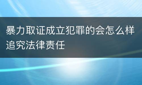 暴力取证成立犯罪的会怎么样追究法律责任