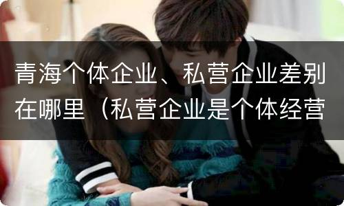 青海个体企业、私营企业差别在哪里（私营企业是个体经营吗）