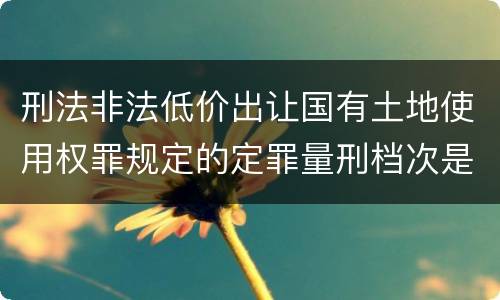 刑法非法低价出让国有土地使用权罪规定的定罪量刑档次是多少