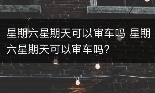 星期六星期天可以审车吗 星期六星期天可以审车吗?