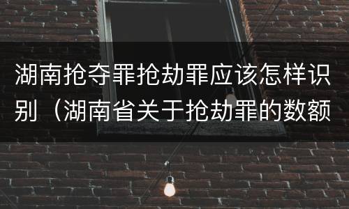 湖南抢夺罪抢劫罪应该怎样识别(湖南省关于抢劫罪的数额规定)