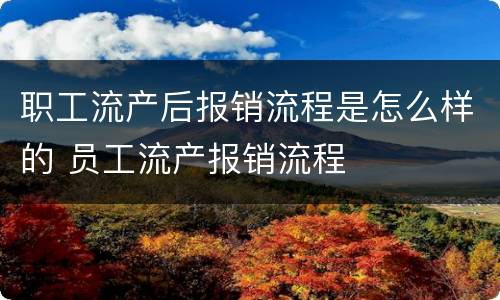 职工流产后报销流程是怎么样的 员工流产报销流程