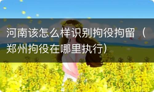 河南该怎么样识别拘役拘留（郑州拘役在哪里执行）