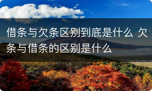 借条与欠条区别到底是什么 欠条与借条的区别是什么