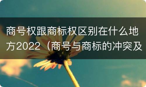 商号权跟商标权区别在什么地方2022（商号与商标的冲突及解决措施）