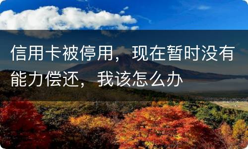 信用卡被停用，现在暂时没有能力偿还，我该怎么办