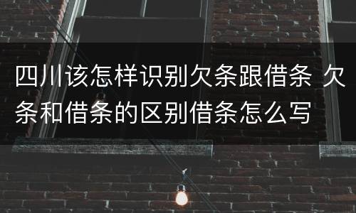 四川该怎样识别欠条跟借条 欠条和借条的区别借条怎么写