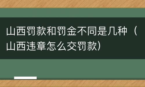 山西罚款和罚金不同是几种（山西违章怎么交罚款）