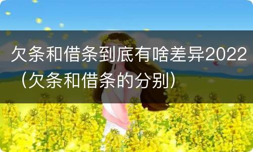 欠条和借条到底有啥差异2022（欠条和借条的分别）