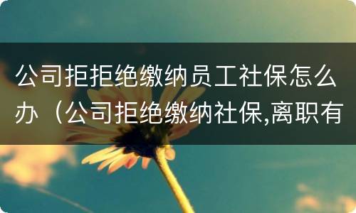 公司拒拒绝缴纳员工社保怎么办（公司拒绝缴纳社保,离职有补偿吗）