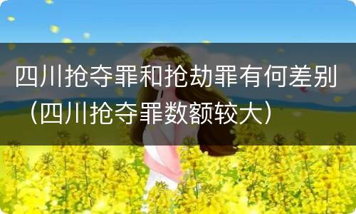 四川抢夺罪和抢劫罪有何差别（四川抢夺罪数额较大）
