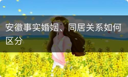 安徽事实婚姻、同居关系如何区分