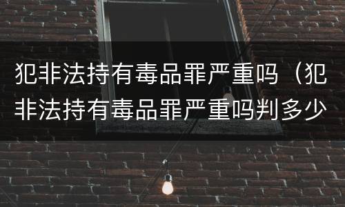 犯非法持有毒品罪严重吗（犯非法持有毒品罪严重吗判多少年）