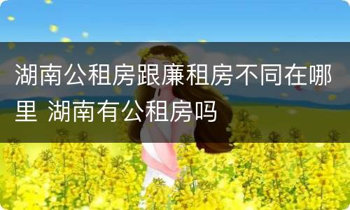 湖南公租房跟廉租房不同在哪里 湖南有公租房吗