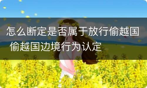 怎么断定是否属于放行偷越国 偷越国边境行为认定