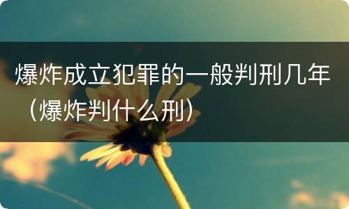 爆炸成立犯罪的一般判刑几年（爆炸判什么刑）