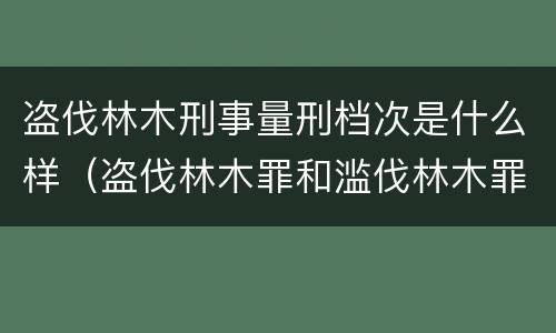 盗伐林木刑事量刑档次是什么样（盗伐林木罪和滥伐林木罪有什么区别）