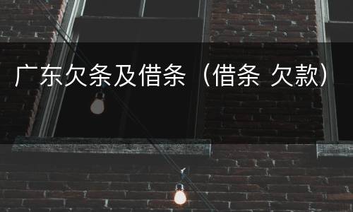 广东欠条及借条（借条 欠款）